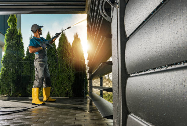 Best Roof Pressure Washing  in Greenwood, IN