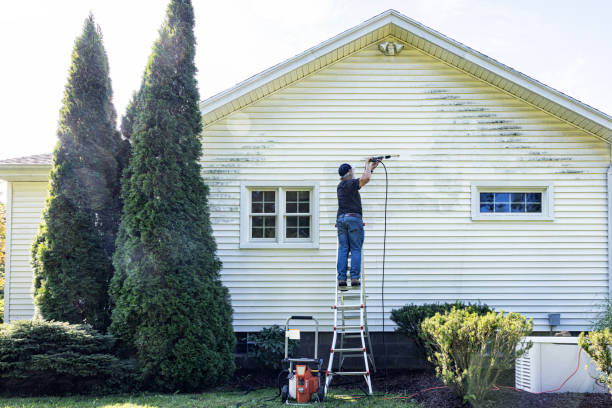 Best Residential Pressure Washing Services  in Greenwood, IN